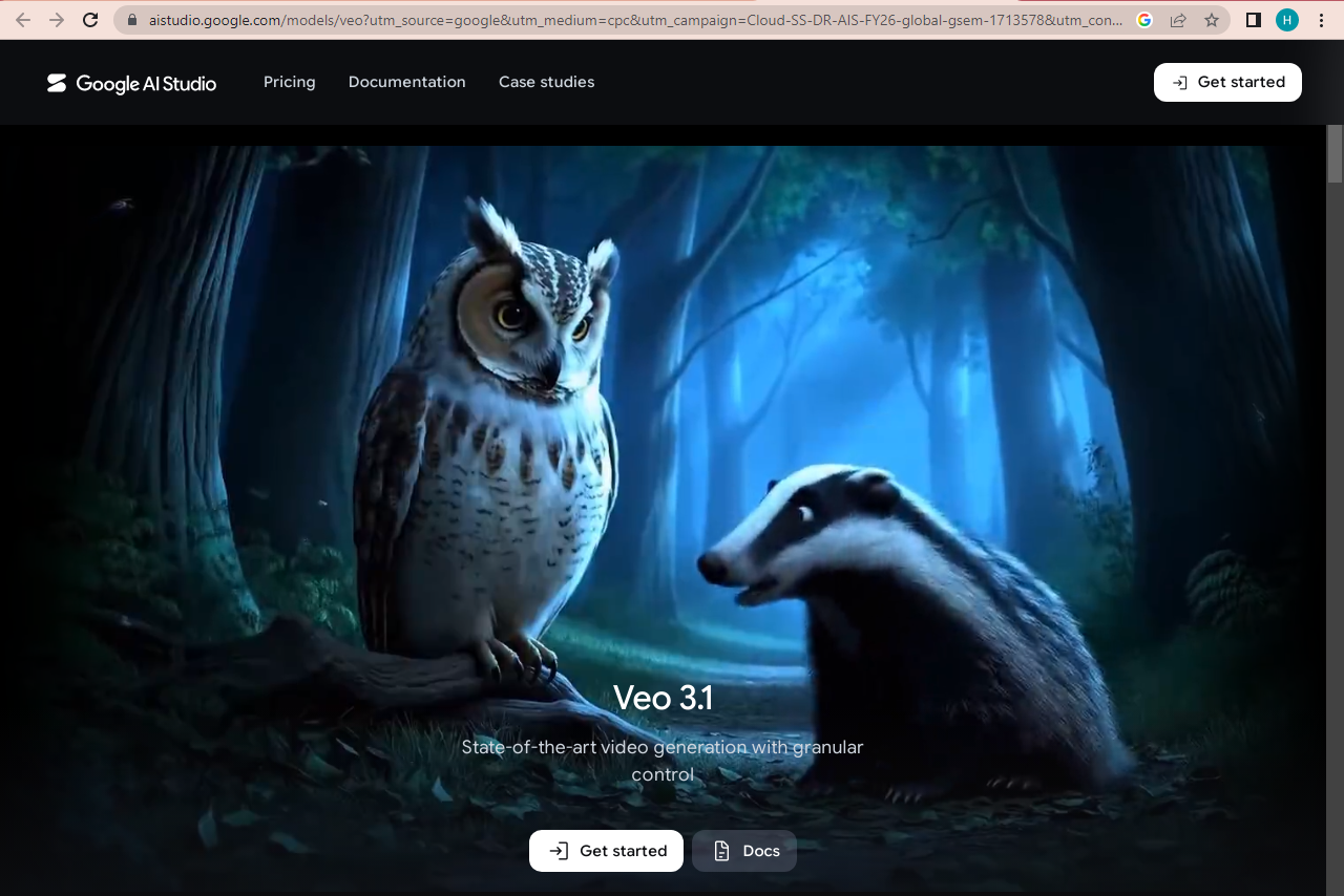 Google Veo Realistic AI Videos