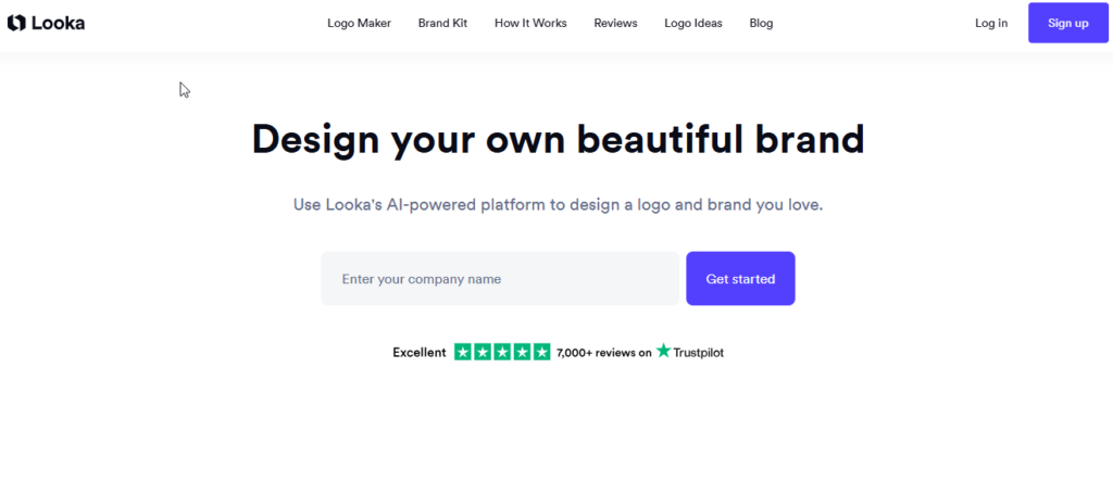 Looka Complete Brand Identity